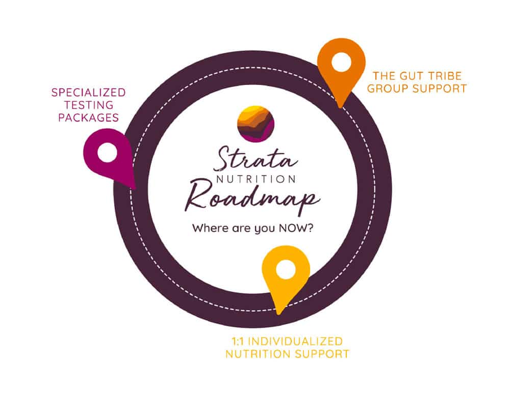 Strata Nutrition Roadmap infographic showing each service area Kylie offers, graphic design